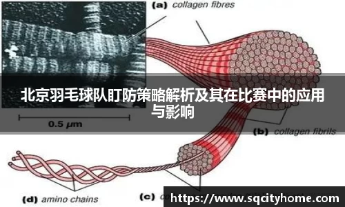 北京羽毛球队盯防策略解析及其在比赛中的应用与影响