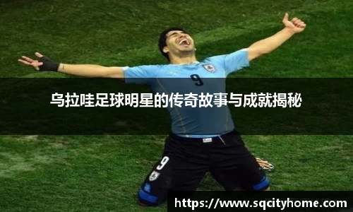 星空·综合体育