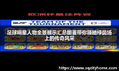 星空·综合体育官方网站