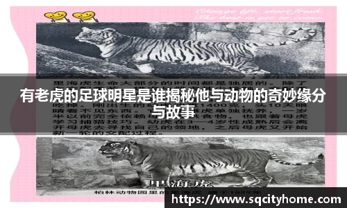 有老虎的足球明星是谁揭秘他与动物的奇妙缘分与故事